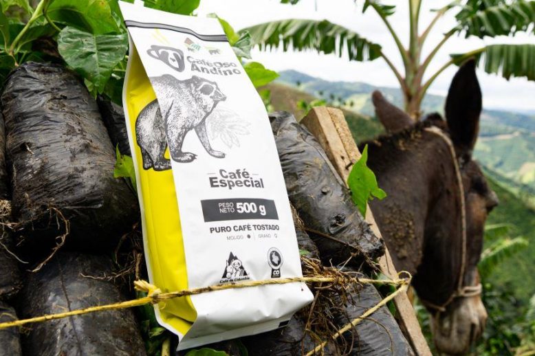 Café Oso Andino